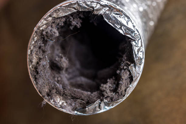 Best Ductwork Cleaning Services  in Dallas, NC